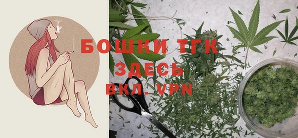 ешки Сафоново