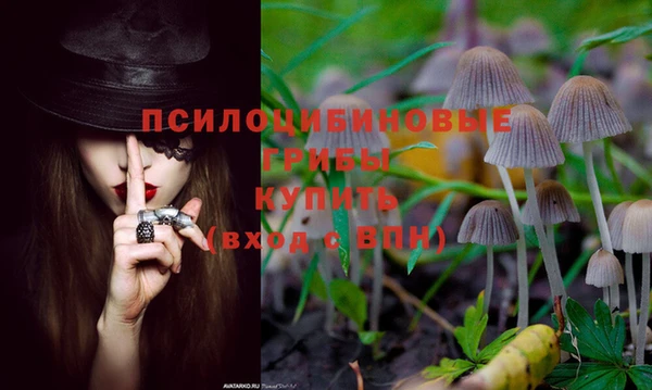 ешки Сафоново