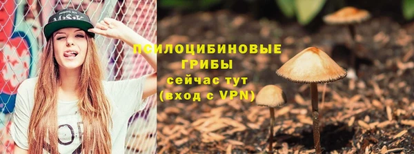 синтетический гашиш Богданович